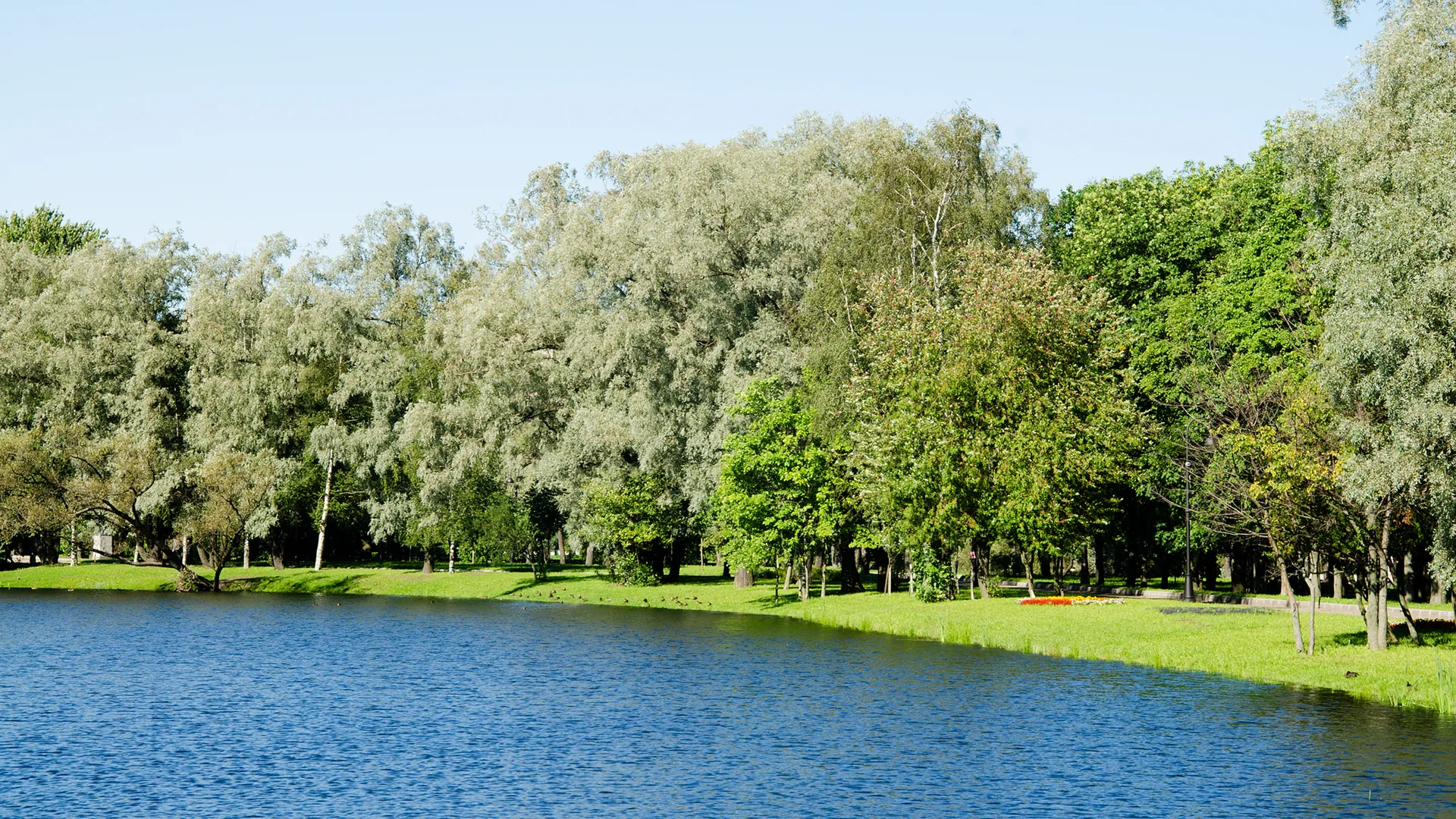 Water strategy reference